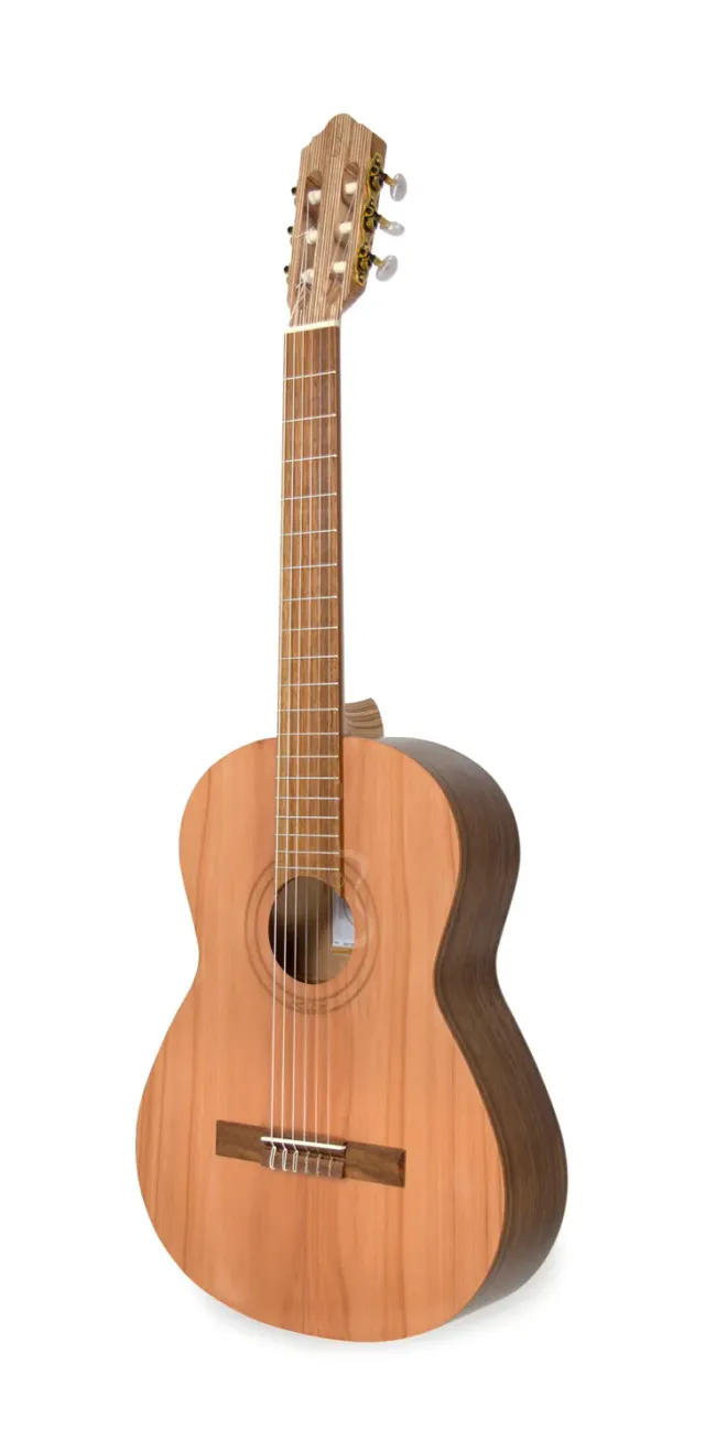 APC EUC C Ukulele Konzert Zeder Eukalyptus