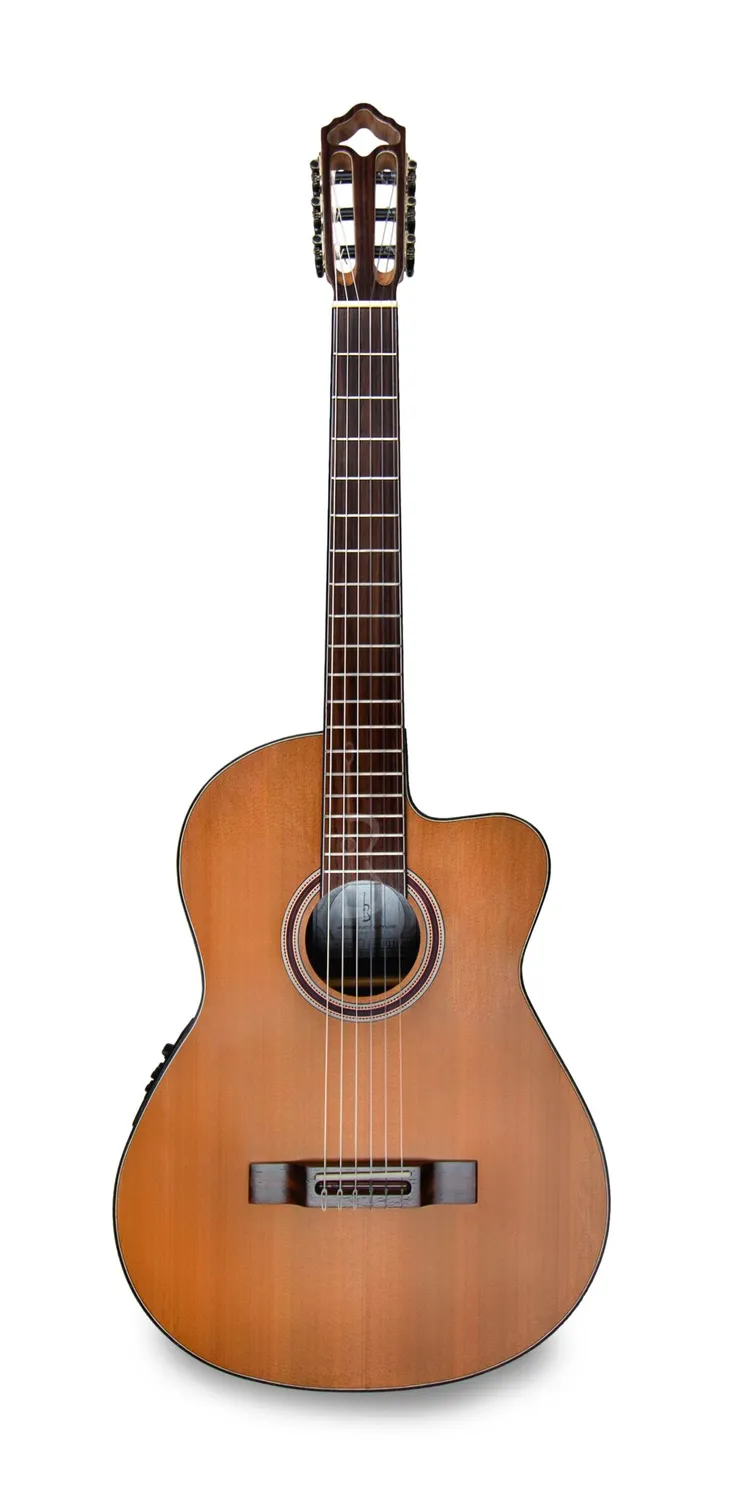 APC 9C CW Konzertgitarre Zeder Palisander Cutaway