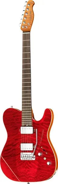Harley Benton Fusion-T II HH RW QRB E-Gitarre Zebra