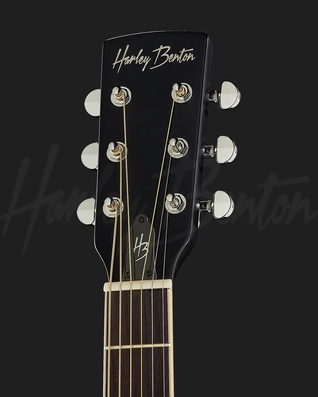 Harley Benton Santos CLN-150CE Resonatorgitarre Schwarz Spider