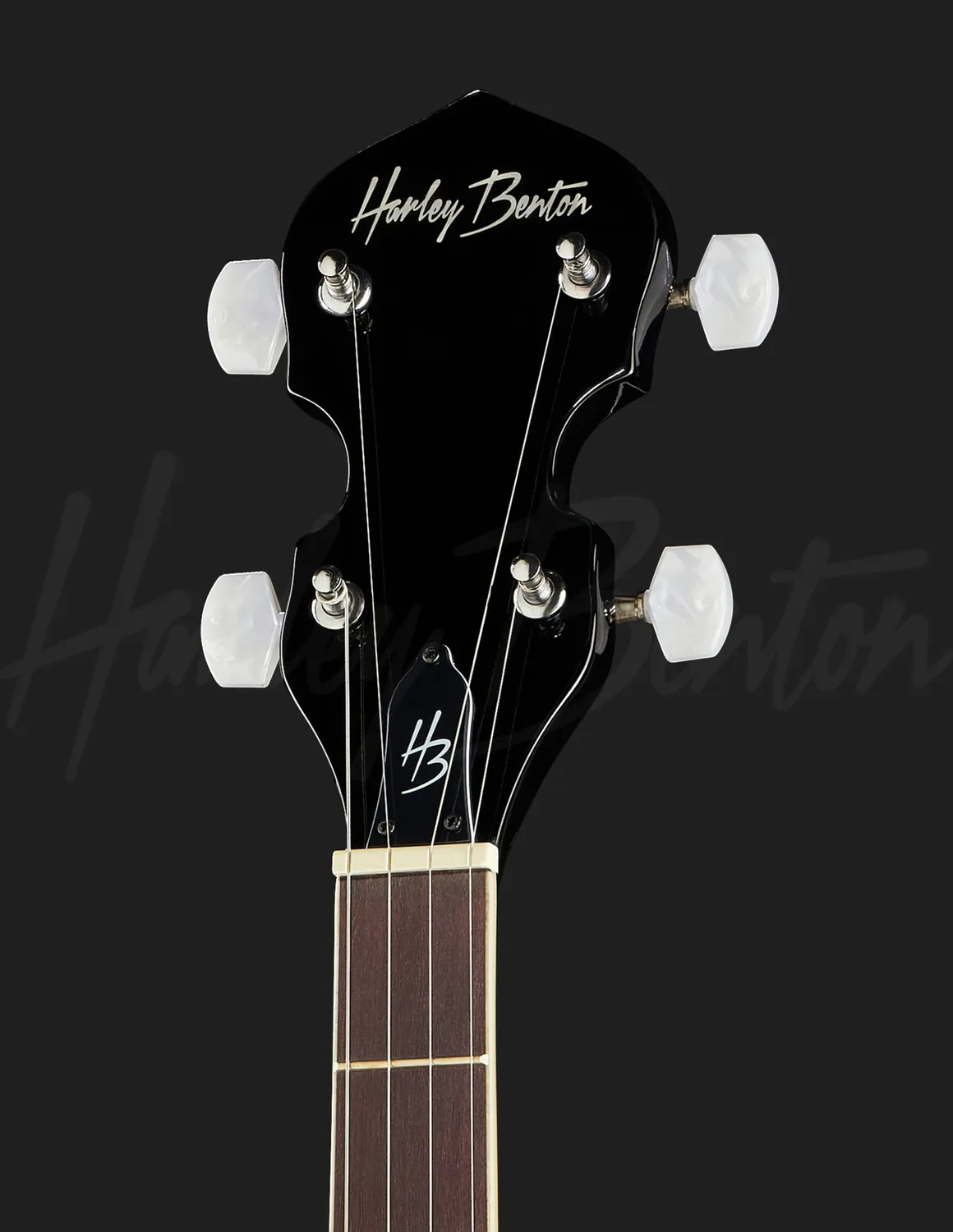 Harley Benton Bluegrass BJO-35Pro Banjo 5-saitig