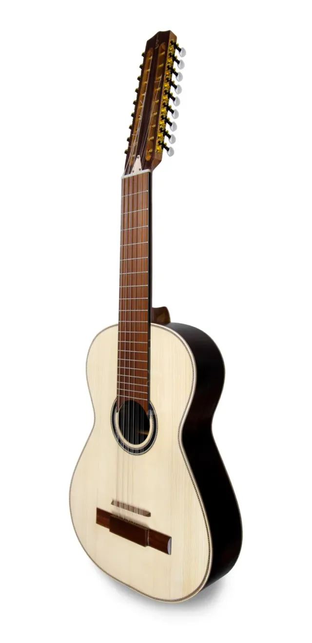 APC VTR AC T18 Viola Toeira Palisander massiv
