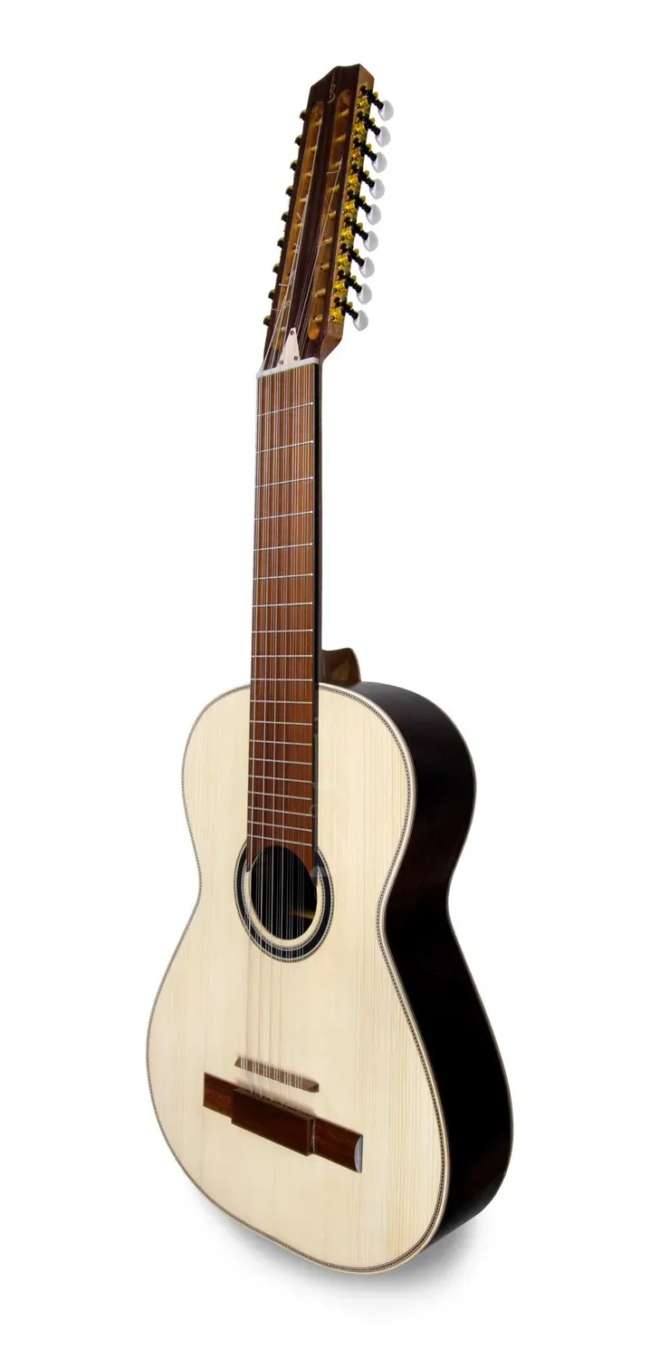 APC VTR AC T18 Viola Toeira Palisander massiv