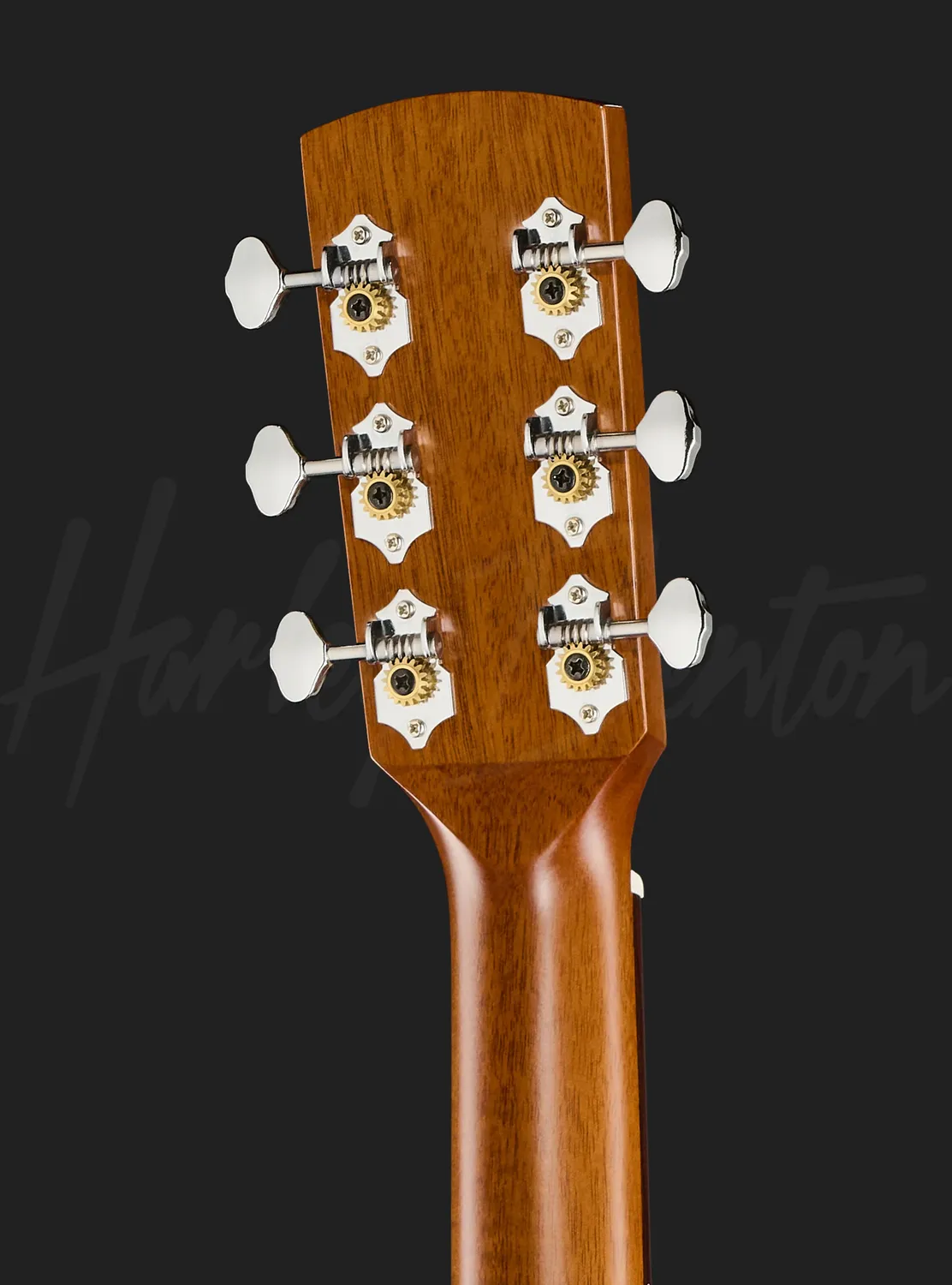 Harley Benton CLD-65S NT Westerngitarre Fichte