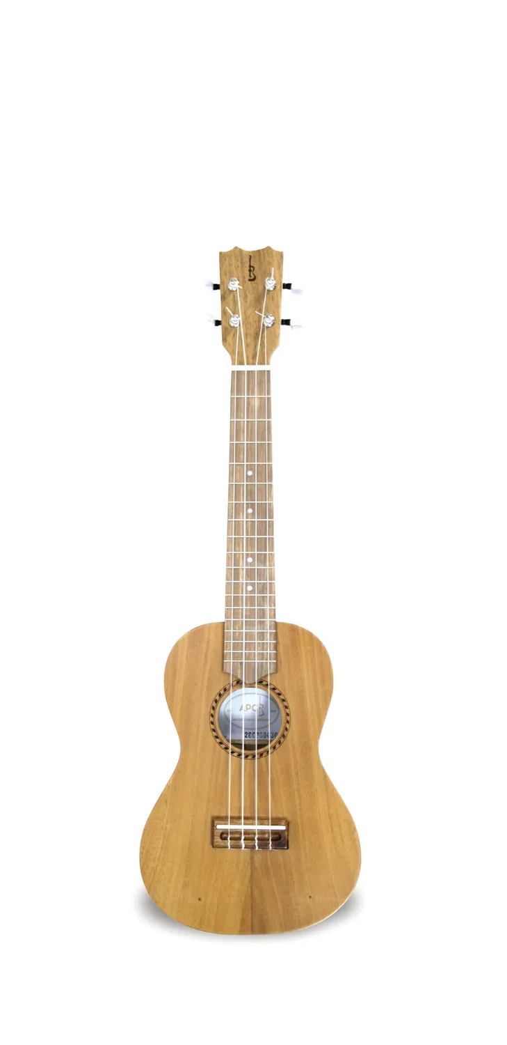 APC CL Cavaquinho Mahagoni massiv