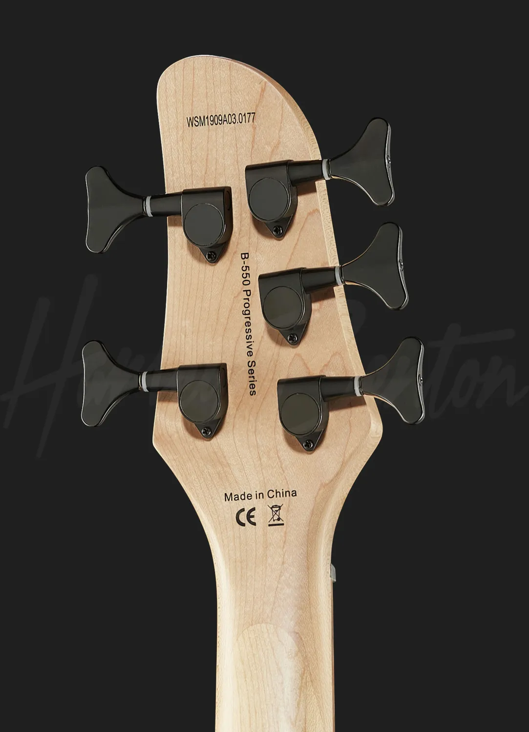 Harley Benton B-550 E-Bass Schwarz 5-saitig aktiv