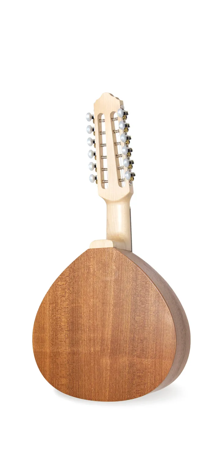 APC BAND305 Mandoline Fichte massiv Sapelli