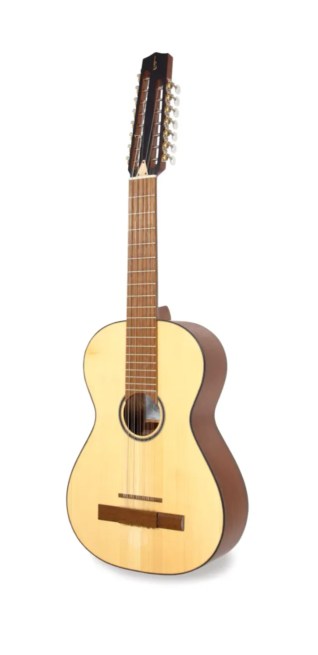 APC VTR T15 Viola Fichte Sapelli 10-saitig